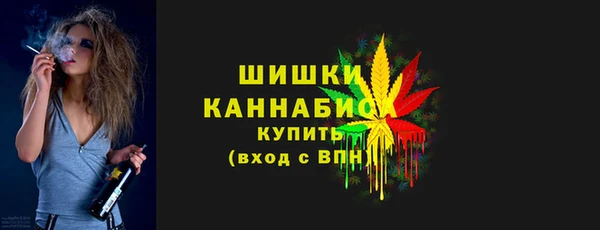 твердый Богородицк