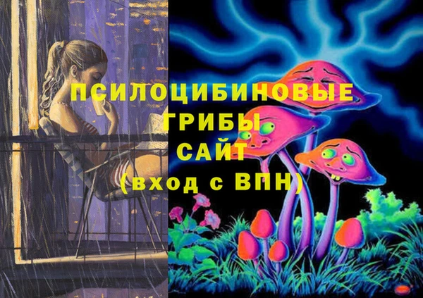 твердый Богородицк