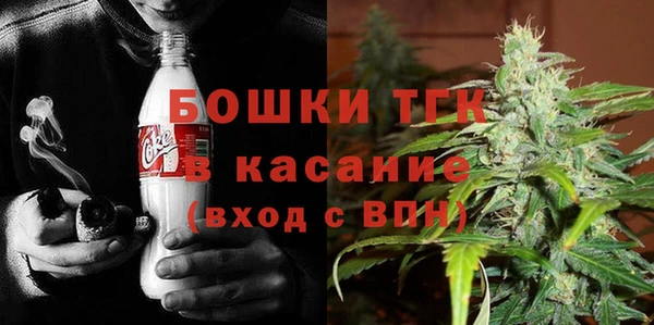 твердый Богородицк